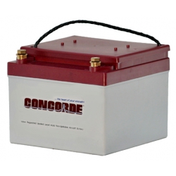 Concorde Sealed Battery RG24-9