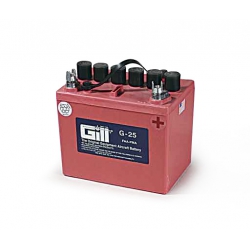 GILL BATTERY G-25 W/O ACID (G-25)